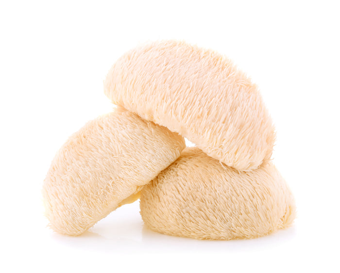 LION'S MANE MUSHROOM